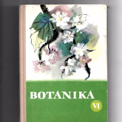 Botanika dla klasy VI