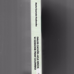 Dialog Zachód-Azja wschodnia w dziedzinie praw człowieka. Wizje i praktyka