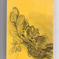 Rośliny i roślinne substancje przeciwnowotworowe