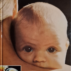 Życie przed narodzeniem. Fotodokumentacja rozwoju życia ludzkiego w łonie matki. Praktyczne porady dla przyszłych matek