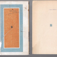 Kombatanci i podróżnicy