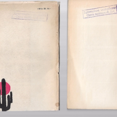 Azjatycka i afrykańska Ameryka. Notatki i impresje z podróży historyka.